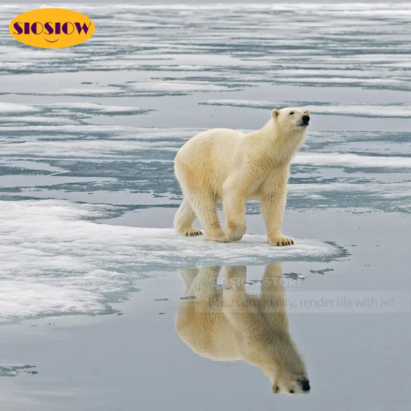 283647.jpg