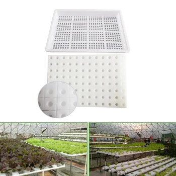 Hydroponic Vegetable Equipment Soilless Cultivation Seedling Tray + Sponge 30*20*2.5cm Plants Flowers Tray
Hydroponic Vegetable Equipment Soilless Cultivation Seedling Tray + Sponge 30*20*2.5cm Plants Flowers Tray