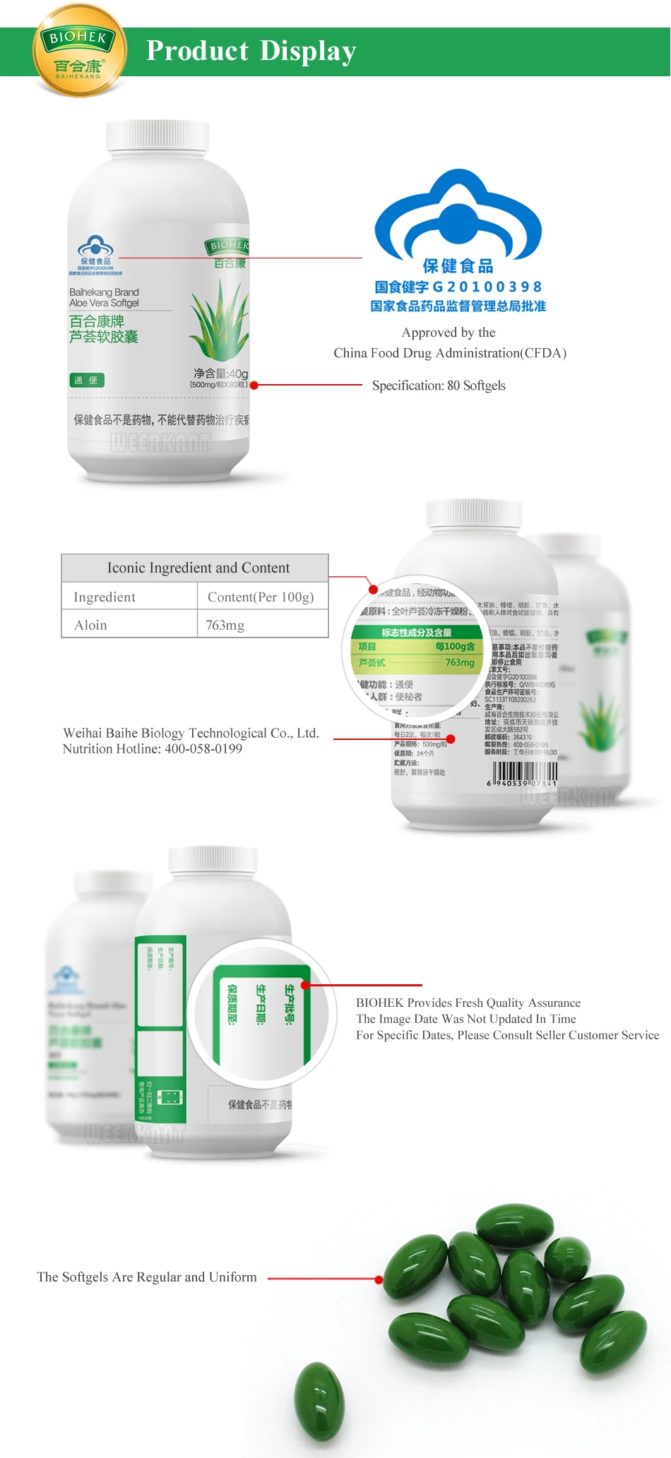 21_Aloe_Vera