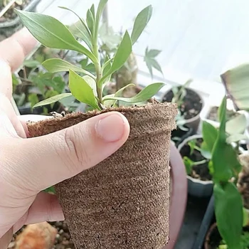 Biodegradable Nursery Pot Cup Plant Seeds Nursery Box Garden Propagation Container Grow Bag Garden Supplies Flower Pot Plug
Biodegradable Nursery Pot Cup Plant Seeds Nursery Box Garden Propagation Container Grow Bag Garden Supplies Flower Pot Plug