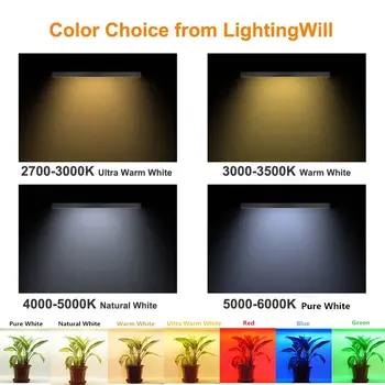 LED Strip Light CRI90 SMD3528 1200LEDs 16.4Ft/5M Ultra Warm White 2700K-3000K DC12V 96W 240LEDs/M 19.2W/M 15mm White PCB Flexibl
LED Strip Light CRI90 SMD3528 1200LEDs 16.4Ft/5M Ultra Warm White 2700K-3000K DC12V 96W 240LEDs/M 19.2W/M 15mm White PCB Flexibl