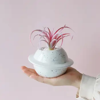 Creative Planet Ceramic Pot For Succulent Mini Planet Shape Ceramic Succulent Bonsai Flower Pot Desktop Balcony Yard Decor Home
Creative Planet Ceramic Pot For Succulent Mini Planet Shape Ceramic Succulent Bonsai Flower Pot Desktop Balcony Yard Decor Home