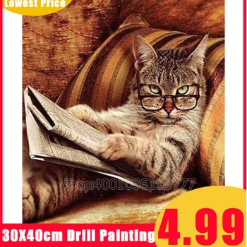 5D DIY Full Square/Round Drill Reading Cat Diamond Painting Cross Stitch Art Embroidery Animal Diamond Mosaic Home Decor Gift
5D DIY Full Square/Round Drill Reading Cat Diamond Painting Cross Stitch Art Embroidery Animal Diamond Mosaic Home Decor Gift