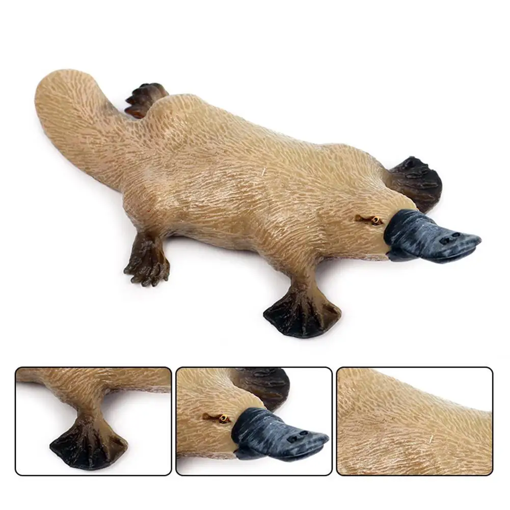 Figurine Model Toys Realistic Platypus Animal Figurine Sculpture Model Desktop Home Decor Kids Toy Gift
Figurine Model Toys Realistic Platypus Animal Figurine Sculpture Model Desktop Home Decor Kids Toy Gift
