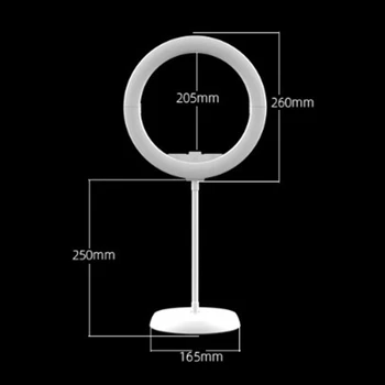 26cm / 10 Inch Foldable Ring Light LED Selfie Dimmable Ring Lamp with Stand and Base for YouTube Tik Tok Live Makeup
26cm / 10 Inch Foldable Ring Light LED Selfie Dimmable Ring Lamp with Stand and Base for YouTube Tik Tok Live Makeup