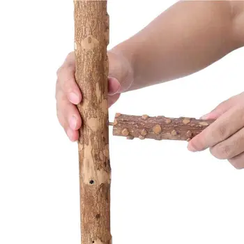 Small Medium Parrots Bird Perch Wood Stand Chew Bite Toy Birds Swing Bell Activity Support Holder C63B
Small Medium Parrots Bird Perch Wood Stand Chew Bite Toy Birds Swing Bell Activity Support Holder C63B