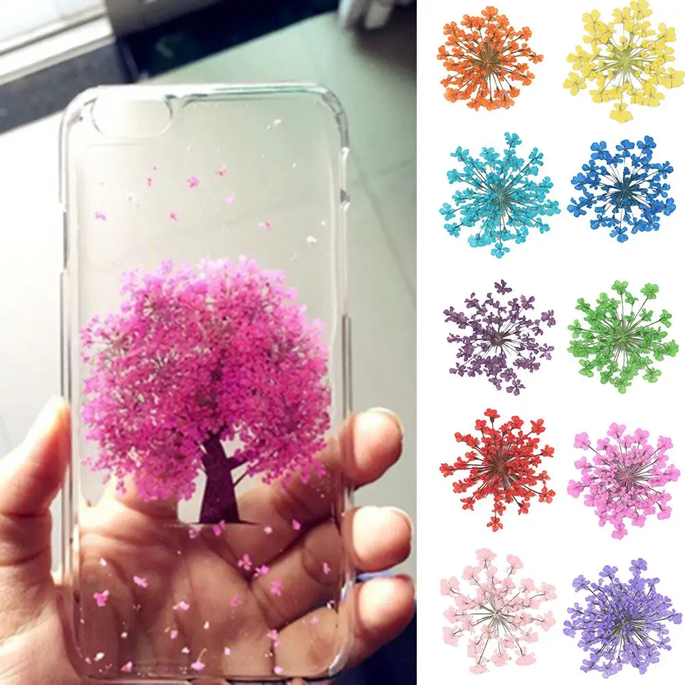 Фото 100Pcs Pressed Dried Ammi Majus Flower Epoxy Resin Nail Craft DIY Phone Decor | Красота и здоровье