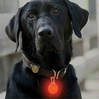 New Special Pets Color Led Flash Of Light Pendant Luminescence Cat And Dog Pendant Dog Tag Toys Ornaments Pet Accessories
New Special Pets Color Led Flash Of Light Pendant Luminescence Cat And Dog Pendant Dog Tag Toys Ornaments Pet Accessories