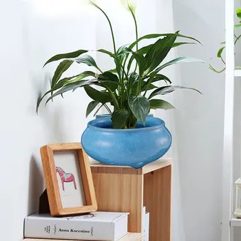 1pc Household Flower Pot Creative Chic Prime Ceramic Pot Succulent Plant Container Succulent Pot for Home Table Store
1pc Household Flower Pot Creative Chic Prime Ceramic Pot Succulent Plant Container Succulent Pot for Home Table Store