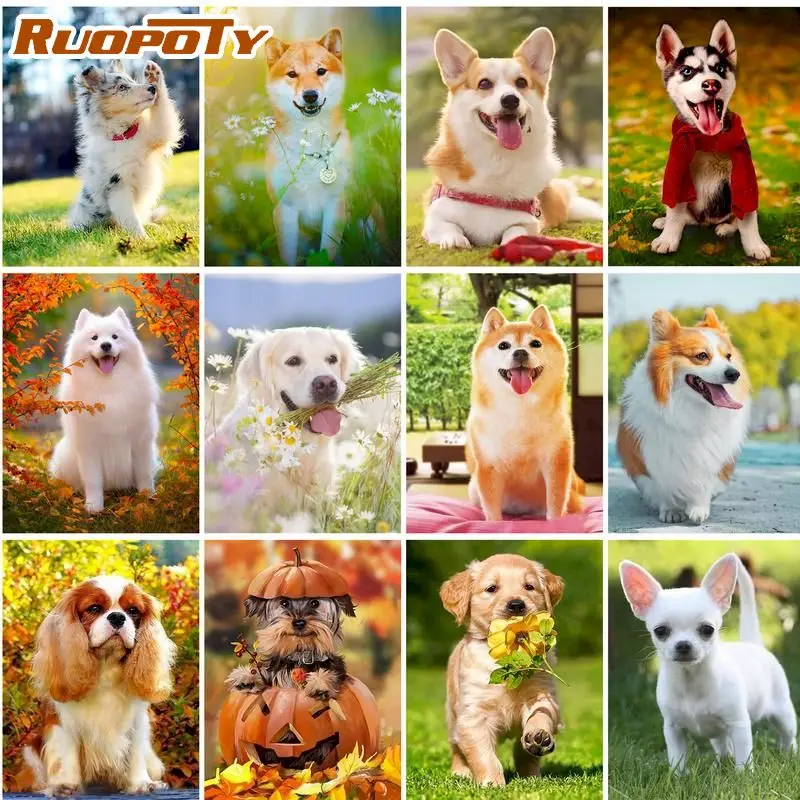 RUOPOTY Animals Dog painting by numbers wall decor for adult and child home decor gift Frameless 60x75cm
RUOPOTY Animals Dog painting by numbers wall decor for adult and child home decor gift Frameless 60x75cm