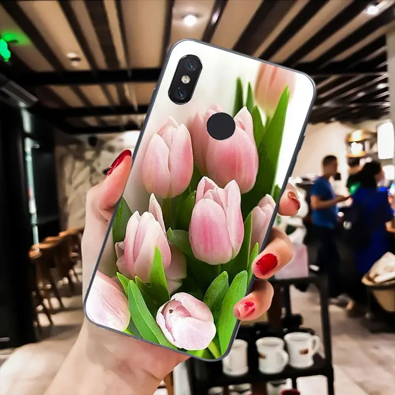 Tulip flower