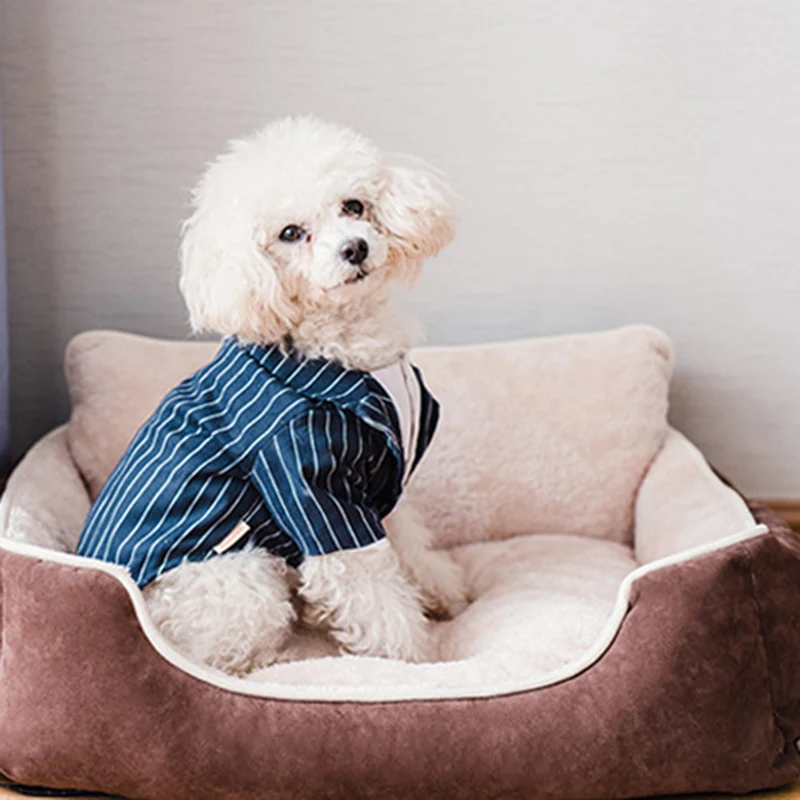 Fully Detachable Washable Independent Pillow Dog Bed Rectangle Grooved Orthopedic Dog Beds DNJ998
Fully Detachable Washable Independent Pillow Dog Bed Rectangle Grooved Orthopedic Dog Beds DNJ998