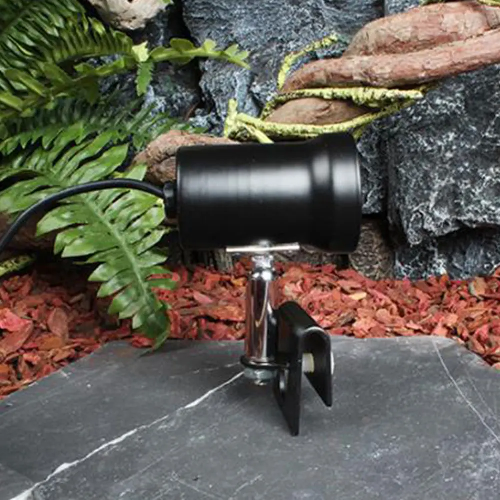Heating Bulb Clip Fixture Lamp and Holder UVA UVB Base Reptile Fish Tank Habitat Turtle With Switch Metal Light Clamp Stand Pet
Heating Bulb Clip Fixture Lamp and Holder UVA UVB Base Reptile Fish Tank Habitat Turtle With Switch Metal Light Clamp Stand Pet