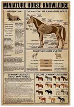 Metal Tin Sign Horse Breeds of The World Knowledge Vintage Tin Poster Metal Sign Wall Decoration Country Kitchen Home Garage
Metal Tin Sign Horse Breeds of The World Knowledge Vintage Tin Poster Metal Sign Wall Decoration Country Kitchen Home Garage