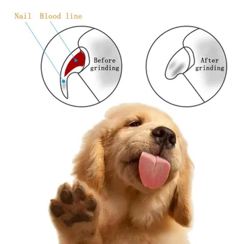 Pet Dogs Cats Nail Grinder Nails Clipper Painless Paws Cleaning Grooming Tool Rechargeable Automatic Clipper
Pet Dogs Cats Nail Grinder Nails Clipper Painless Paws Cleaning Grooming Tool Rechargeable Automatic Clipper