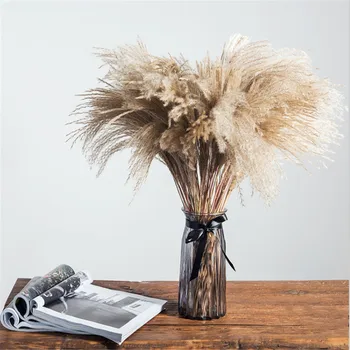 20 pcs Pampas gras kerst decor real pampas gras reed natuurlijke gedroogde plant ornamenten bruiloft decor bloem bos
20 pcs Pampas gras kerst decor real pampas gras reed natuurlijke gedroogde plant ornamenten bruiloft decor bloem bos