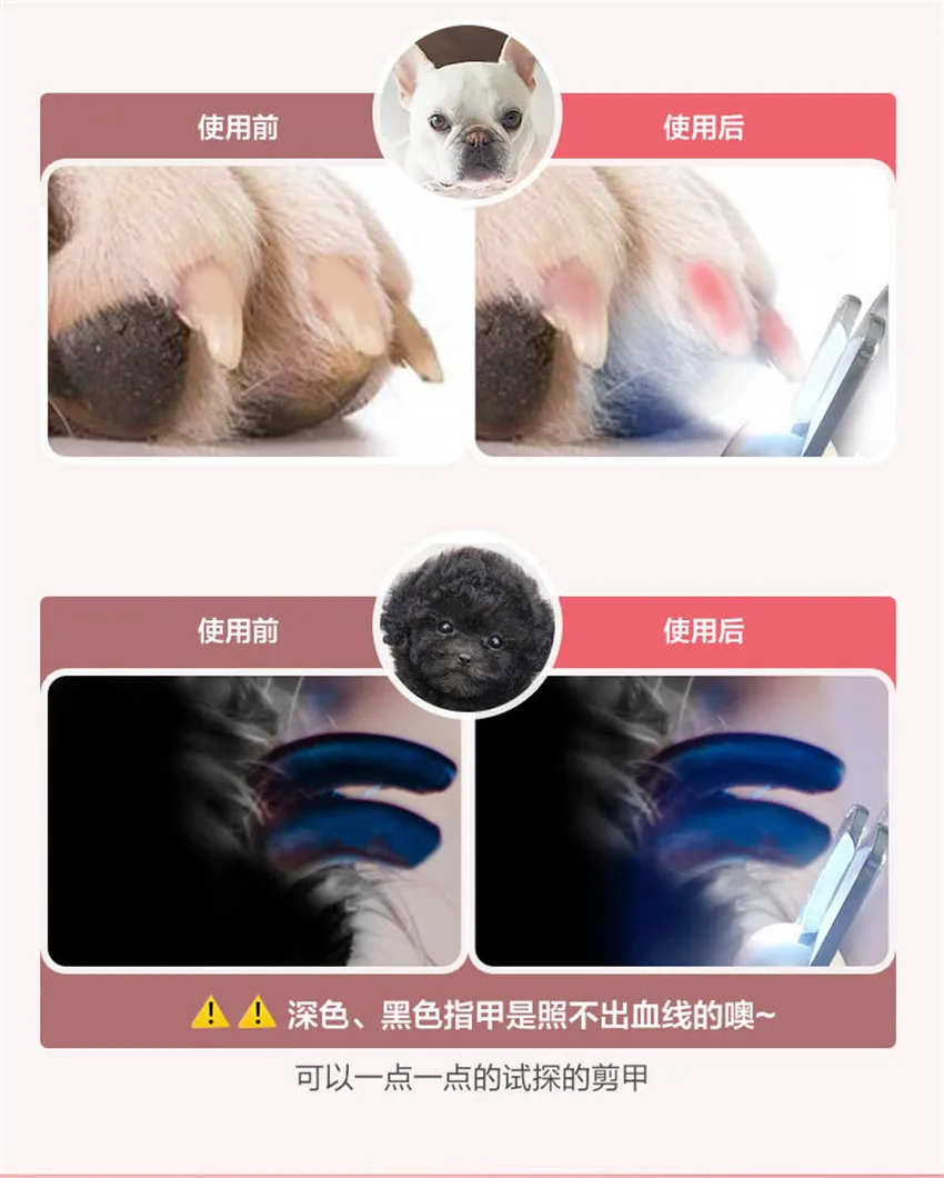 图2 (5)