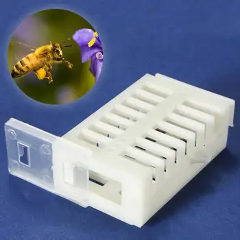 4Pcs Push-pull Bee Cage Bee King Queen Rearing Cells Cages Bee Match-box Moving Bee Catcher Cage Beekeeping Tools ON SALE
4Pcs Push-pull Bee Cage Bee King Queen Rearing Cells Cages Bee Match-box Moving Bee Catcher Cage Beekeeping Tools ON SALE