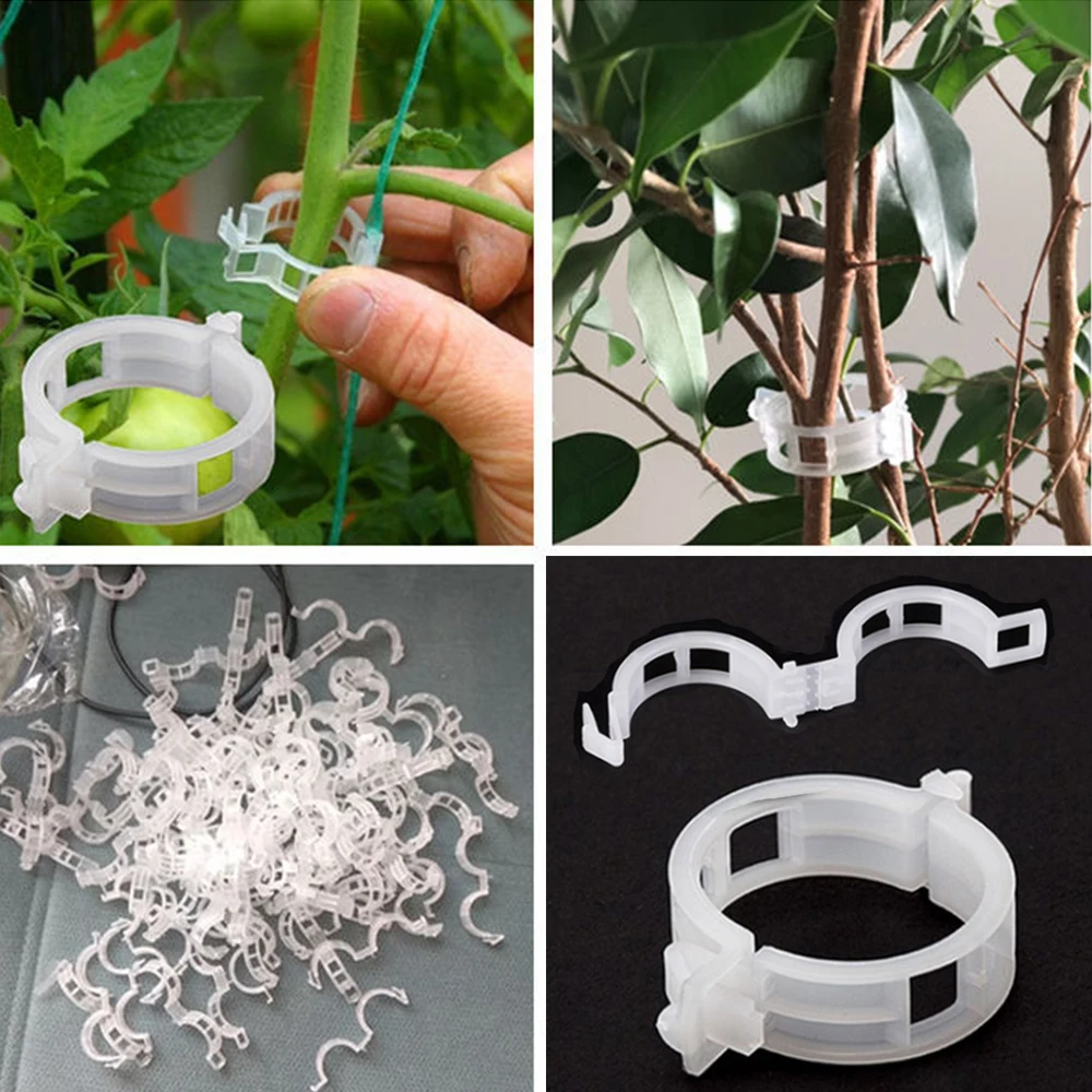 500PCS NEW Plastic Plant Support Clips For Tomato Hanging Trellis Vine Connects Grape Tool Vegetable Clips Agricultural
500PCS NEW Plastic Plant Support Clips For Tomato Hanging Trellis Vine Connects Grape Tool Vegetable Clips Agricultural