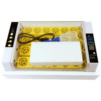 Home Incubator with LED Lighting 24 Egg Automatic Incubator Chicken Duck Goose Bird Hatcher Animal Husbandry
Home Incubator with LED Lighting 24 Egg Automatic Incubator Chicken Duck Goose Bird Hatcher Animal Husbandry