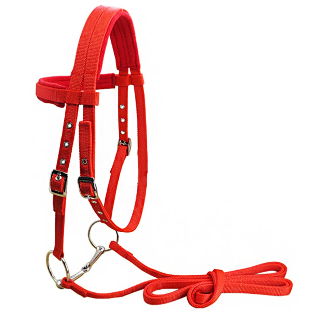 Horse Halter Adjustable Strap Competition Bridle Thicken Winter Riding Equipment Throat Snap Protective With Bit Rein Belt Soft
Horse Halter Adjustable Strap Competition Bridle Thicken Winter Riding Equipment Throat Snap Protective With Bit Rein Belt Soft