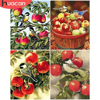 HUACAN Painting By Number Bird Animal Drawing On Canvas HandPainted Art Gift DIY Pictures By Number Fruit Kits Home Decor
HUACAN Painting By Number Bird Animal Drawing On Canvas HandPainted Art Gift DIY Pictures By Number Fruit Kits Home Decor