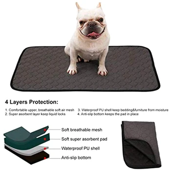 Training Pad For Dogs Washable Reusable Quickly Absorbing Pad For Puppy Urine Changing Pad With Waterproof Non-Slip Underside
Training Pad For Dogs Washable Reusable Quickly Absorbing Pad For Puppy Urine Changing Pad With Waterproof Non-Slip Underside