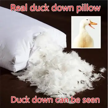 white duck goose down feather pillow standard antibacterial elegant home textiles Real duck down pillow 48*74CM 3D bread pillow
white duck goose down feather pillow standard antibacterial elegant home textiles Real duck down pillow 48*74CM 3D bread pillow