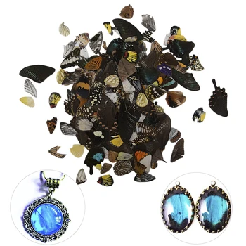 100Pcs Real Butterfly Wings Random Gift DIY Jewelry Artwork Art Hand Craft
100Pcs Real Butterfly Wings Random Gift DIY Jewelry Artwork Art Hand Craft