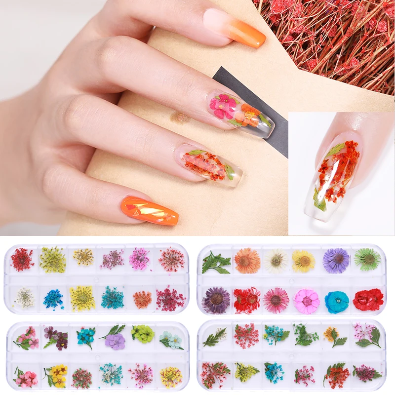 1 Box Dry Flowers 3D Nail Art Decoration Natural Flower Colorful Mixed Patterns Nail Art Stickers Decorations for DIY Design
1 Box Dry Flowers 3D Nail Art Decoration Natural Flower Colorful Mixed Patterns Nail Art Stickers Decorations for DIY Design
