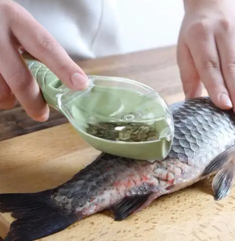 Fish Cleaning Scraping Scales Knife Scraping Device Home Kitchen Accessories Fish Scale Peeler Cleaning Brush Cooking Tools
Fish Cleaning Scraping Scales Knife Scraping Device Home Kitchen Accessories Fish Scale Peeler Cleaning Brush Cooking Tools