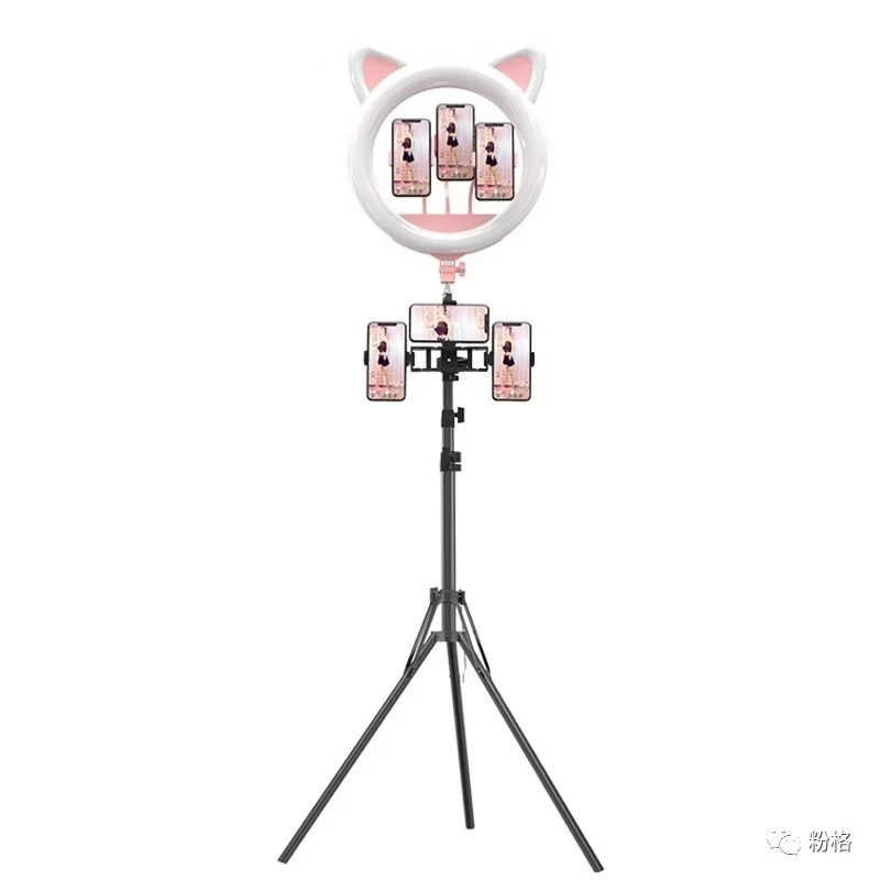 Photography Dimmable LED Selfie Ring Light Youtube Video Live Photo Studio Light With Phone Holder USB Plug Tripod
Photography Dimmable LED Selfie Ring Light Youtube Video Live Photo Studio Light With Phone Holder USB Plug Tripod