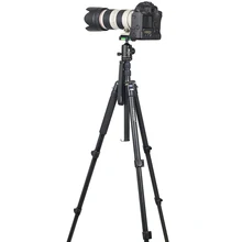 Professional High Tripod 201cm 79in Max Height Monopod Stand For DSLR Camera Fast Flip Lock CNC 36mm Big Ball Head Metal Body
Professional High Tripod 201cm 79in Max Height Monopod Stand For DSLR Camera Fast Flip Lock CNC 36mm Big Ball Head Metal Body