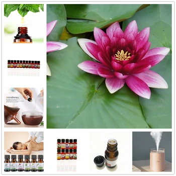 100% Pure Natural Aromatherapy Oils Air Freshening Red spider lily Essential Oil Flower Fruit Humidifier Massage Fragrance Oil
100% Pure Natural Aromatherapy Oils Air Freshening Red spider lily Essential Oil Flower Fruit Humidifier Massage Fragrance Oil