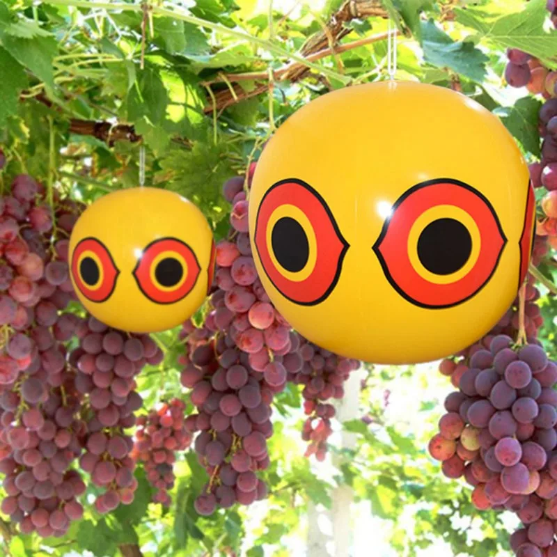 Scare Eyes Bird Repellent Scare Eye Balloons Stops Pest Bird Problems Fast Reliable Visual Deterrent Home Supplies
Scare Eyes Bird Repellent Scare Eye Balloons Stops Pest Bird Problems Fast Reliable Visual Deterrent Home Supplies