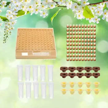 Beekeeping Bee Tool Set Queen Rearing System Complete Catcher Cage Apiculture Helper Equipment Cup Cups Kit l29k
Beekeeping Bee Tool Set Queen Rearing System Complete Catcher Cage Apiculture Helper Equipment Cup Cups Kit l29k