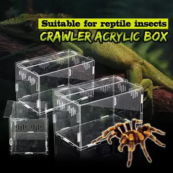 Pet Reptile Breeding Box Through Insect Breeding Box Snake Spider Lizard Scorpion Centipede Stitching Amphibian Reproduction Box
Pet Reptile Breeding Box Through Insect Breeding Box Snake Spider Lizard Scorpion Centipede Stitching Amphibian Reproduction Box