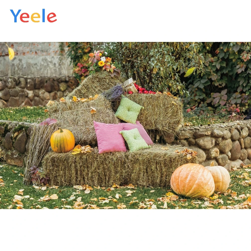 

Autumn Farm Yard Hay Block Pumpkin Baby Portrait Vinyl Backdrop Photography Backdrops Photographic Background For Photo Studio