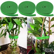 3 Rolls Nylon Plant Bandage Velcro Tie Adjustable Plant Support Reusable Fastener Tape for Home Garden Accessories 5m
3 Rolls Nylon Plant Bandage Velcro Tie Adjustable Plant Support Reusable Fastener Tape for Home Garden Accessories 5m