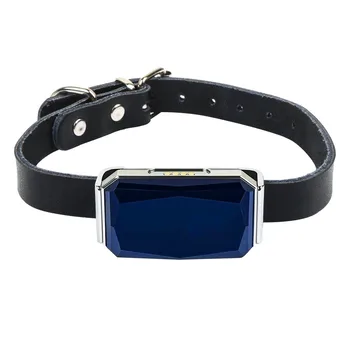 Dog Tracker,Cool Gemstone Ip67 Waterproof Pet Locator Dog Cat Cattle and Sheep Hound Dog Anti-Lost AUG30
Dog Tracker,Cool Gemstone Ip67 Waterproof Pet Locator Dog Cat Cattle and Sheep Hound Dog Anti-Lost AUG30