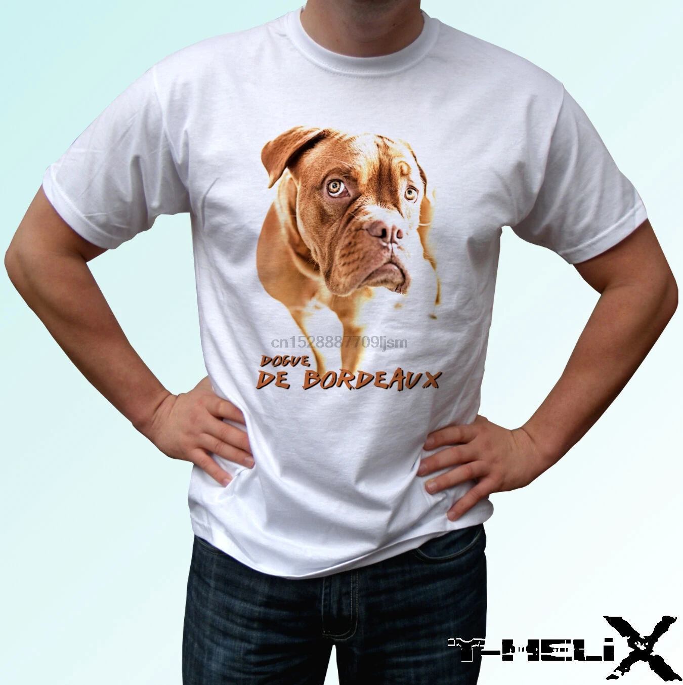 

Dogue De Bordeaux - dog t shirt top tee design - mens womens kids baby sizes