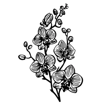 JC Clear Rubber Stamp Phalaenopsis Scrapbook Flower Sheet Silicone Seal Craft Stencil Album Stamps Card Make Template Decoration
JC Clear Rubber Stamp Phalaenopsis Scrapbook Flower Sheet Silicone Seal Craft Stencil Album Stamps Card Make Template Decoration