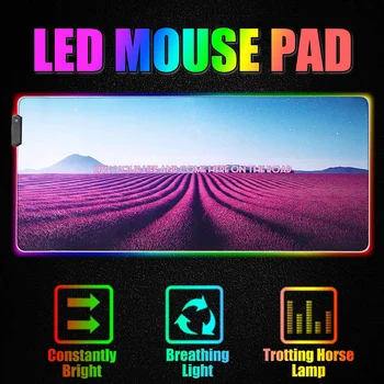 RGB Gaming Pad LED Gamer Large pad USB Colorful Luminous Desk Pad Mice Mat For PC Laptop Desktop Lavender Pattern
RGB Gaming Pad LED Gamer Large pad USB Colorful Luminous Desk Pad Mice Mat For PC Laptop Desktop Lavender Pattern