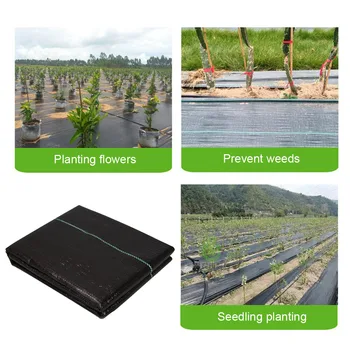 Anti Pest Greenhouse Landscape Mulch Home Garden Ground Cover Weed Control Membrane Agriculture Tools Barrier Grass Cloth 
Anti Pest Greenhouse Landscape Mulch Home Garden Ground Cover Weed Control Membrane Agriculture Tools Barrier Grass Cloth