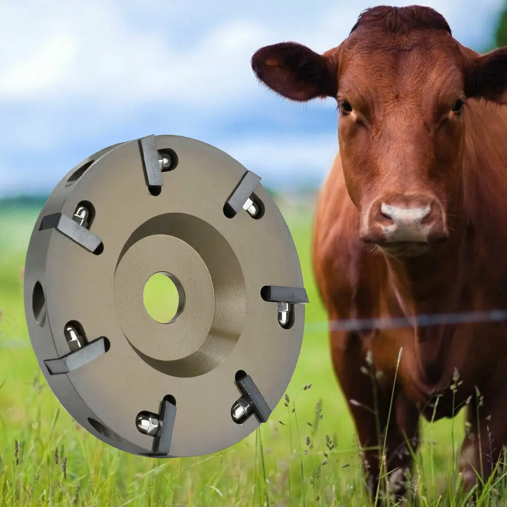 Novel Hoof Cutter Disc Dishs 7 Knives Electric Cow Hoof Trimming Plate Hoof Cutter Disc Shipping
Novel Hoof Cutter Disc Dishs 7 Knives Electric Cow Hoof Trimming Plate Hoof Cutter Disc Shipping