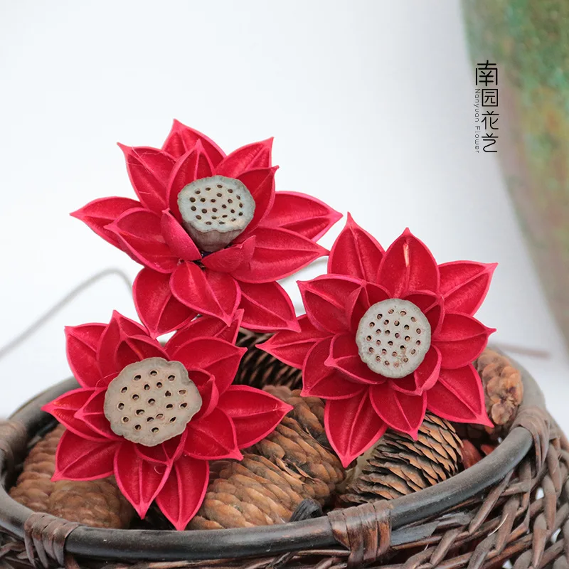 Lotus Seedpod Flower Yunnan Retro Dried Flower Bouquet Natural Lotus Bauhinia Lotus Hotel Clubs Soft Loading Home Decoration 
Lotus Seedpod Flower Yunnan Retro Dried Flower Bouquet Natural Lotus Bauhinia Lotus Hotel Clubs Soft Loading Home Decoration