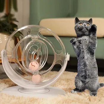 Interesting Cat Roller Puzzle Toy Cat Turntable Rotated Space Ring with 2 Ball Pet Educational Training Toy Indoor Cat Supplies
Interesting Cat Roller Puzzle Toy Cat Turntable Rotated Space Ring with 2 Ball Pet Educational Training Toy Indoor Cat Supplies