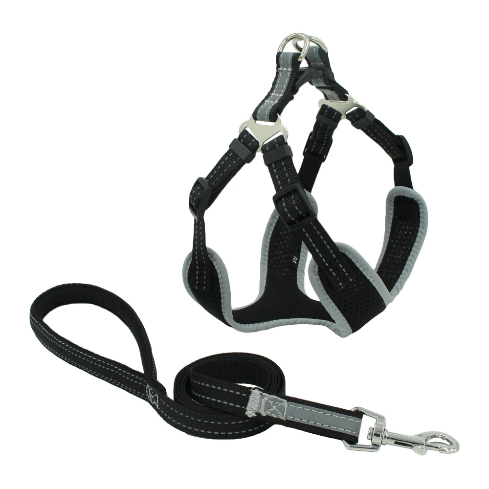 Breathable Dog Harness for Summer with Leash No Pull Harnesses for Small/medium Dogs Puppies Reflective at Night Pet Products
Breathable Dog Harness for Summer with Leash No Pull Harnesses for Small/medium Dogs Puppies Reflective at Night Pet Products