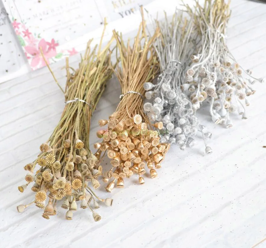 1 bundle 30g Preserved Dried Papaver Rhoeas Poppy Pods Flower For Craft Gift Material Accessory Decoration Flower Arranging DIY 
1 bundle 30g Preserved Dried Papaver Rhoeas Poppy Pods Flower For Craft Gift Material Accessory Decoration Flower Arranging DIY