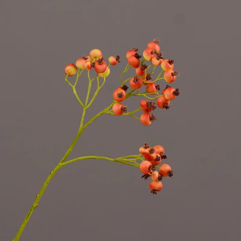 MBF Single Branch Fake Artificial Rose Fruit Berries Floral Arrangement Simulation Flower Plants Fake Roses Hip Decoration
MBF Single Branch Fake Artificial Rose Fruit Berries Floral Arrangement Simulation Flower Plants Fake Roses Hip Decoration